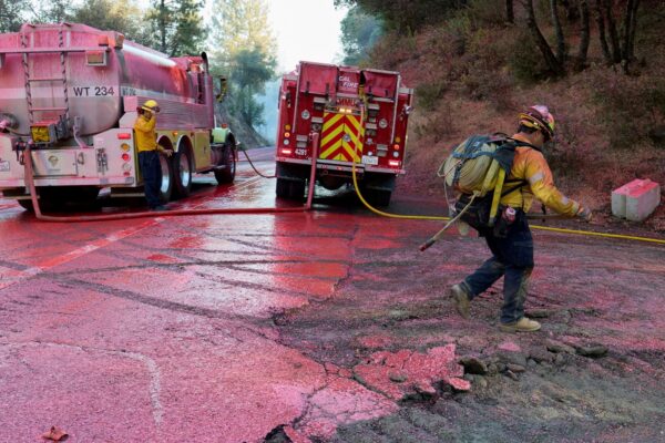 Estados Unidos enfrenta incendios forestales que destruyen más de 700.000 hectáreas