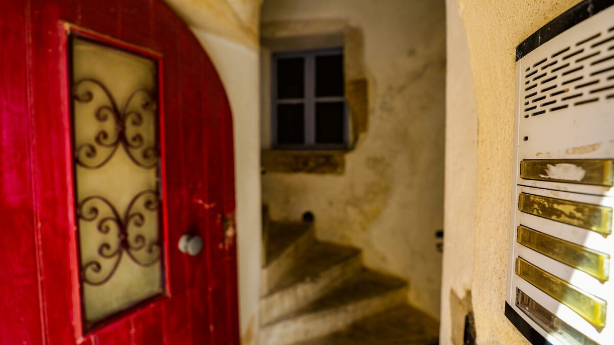 Francia: detuvieron a mujer con restos de cinco bebés muertos