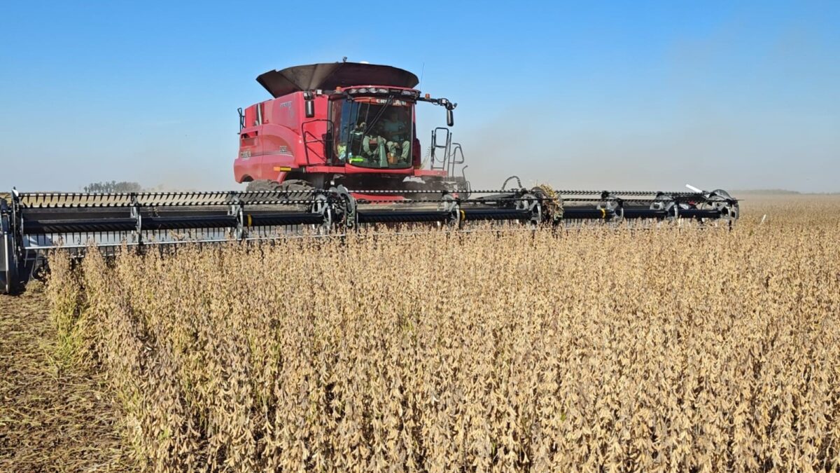 Soybean contribuyó con casi US$28.700 millones a la economía argentina en 2025/26.