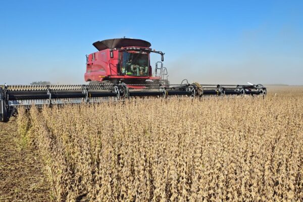 Soybean contribuyó con casi US$28.700 millones a la economía argentina en 2025/26.
