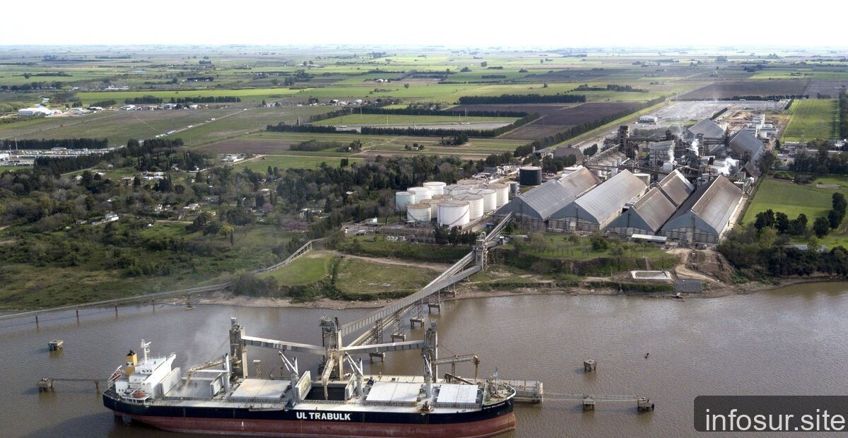 Parlamento Europeo saca de lista negra biodiesel de soja