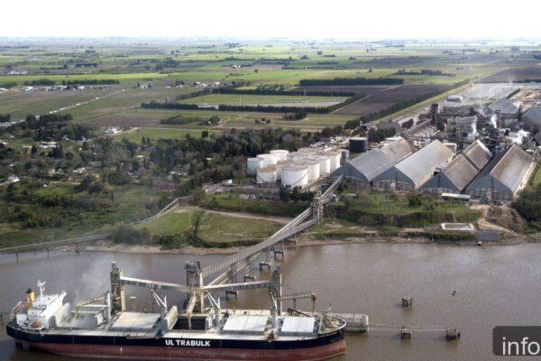 Parlamento Europeo saca de lista negra biodiesel de soja