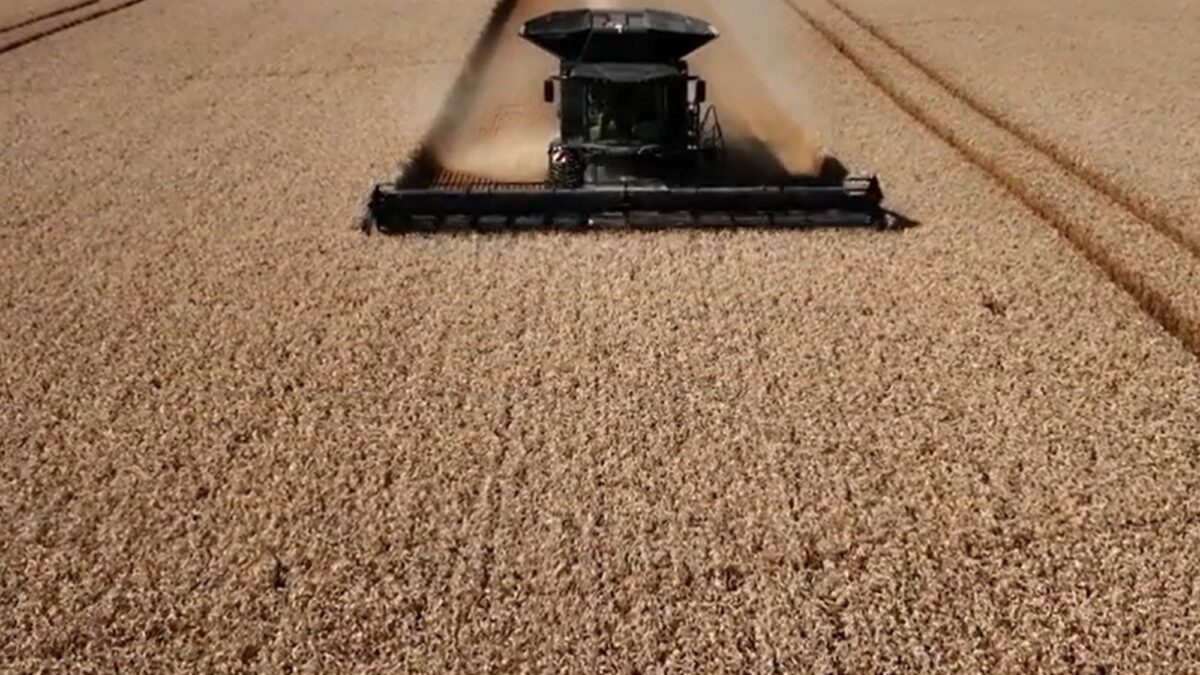 Corta la secuencia de fragilidad: ventas de maquinaria agrícola suben 45% mensual en julio