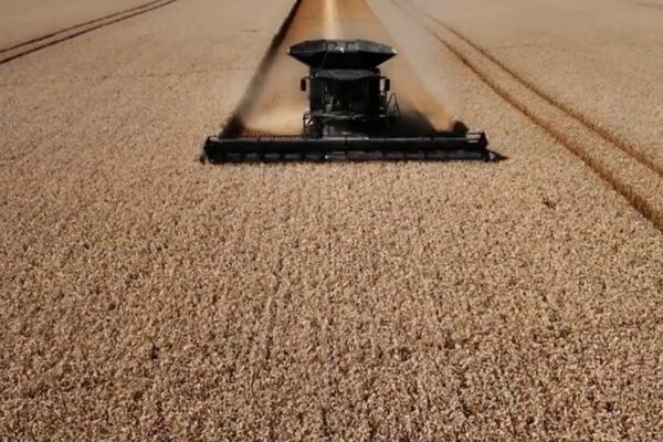 Corta la secuencia de fragilidad: ventas de maquinaria agrícola suben 45% mensual en julio