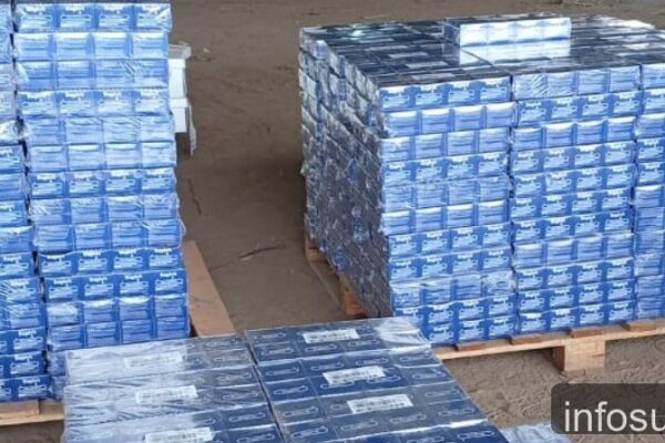 Fuerzas de seguridad descubren millonario cargamento de medicamentos robados en Glew