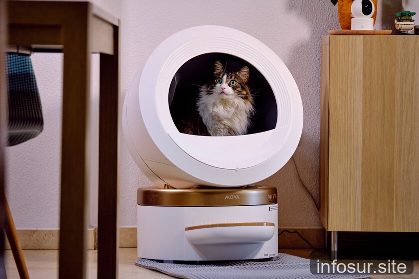 Arenero automático Mova LR10 Prime: el diseño revoluciona la higiene felina