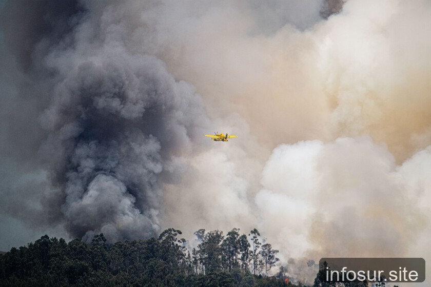 Incendios generan tormentas de fuego: el fenómeno "volcánico" que desafía el clima