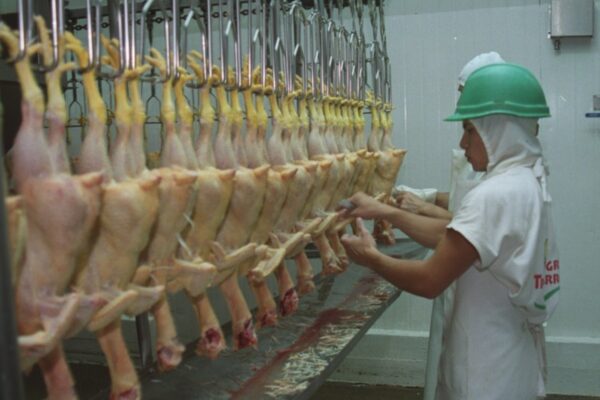 Granja Tres Arroyos despidió a 250 trabajadores en Concepción del Uruguay tras un ajuste de 500 millones de pesos