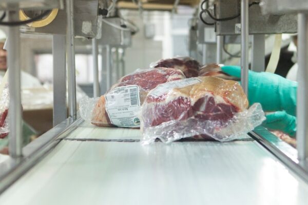 Faena de bovinos cae 12% interanual en julio, pero muestra ligera mejora mensual