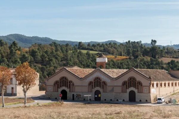 La primera "catedral del vino" de Cataluña se renueva tras décadas de silencio