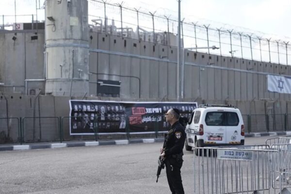Tribunal israelí suspende proyecto de cárcel con crocodilos por violar derechos de animales