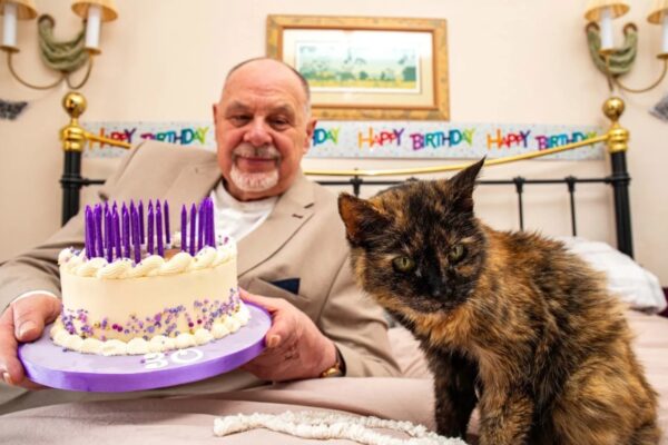 Una gata de 31 años busca ser la más longeva del mundo
