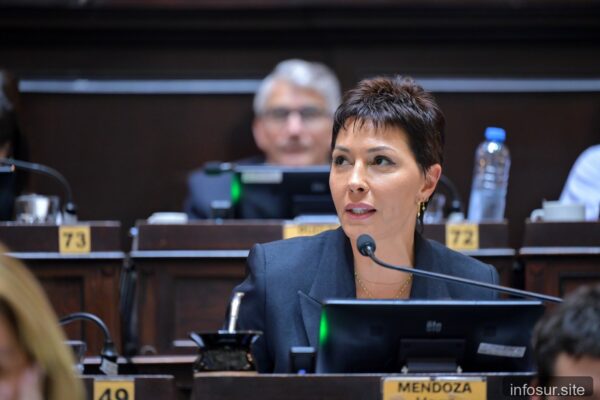 Diputados aprueban media sanción a la Ley Ema y convierten en ley norma para personas con discapacidad