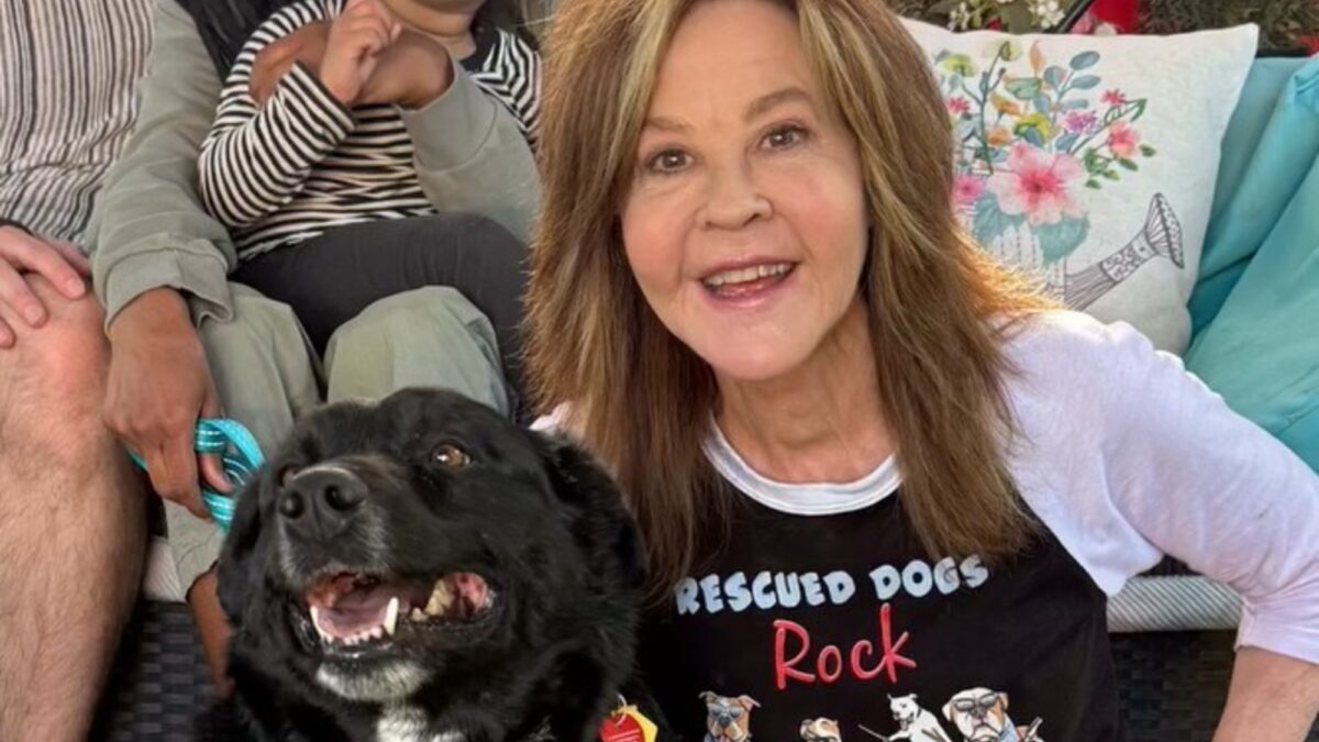 Linda Blair enfrenta inspección por crianza ilegal en campo con 200 perros