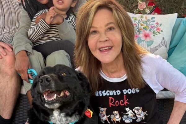 Linda Blair enfrenta inspección por crianza ilegal en campo con 200 perros