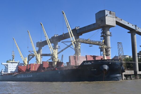 Agro argentino redujo 3% en divisas de julio, con caída anual del 16%