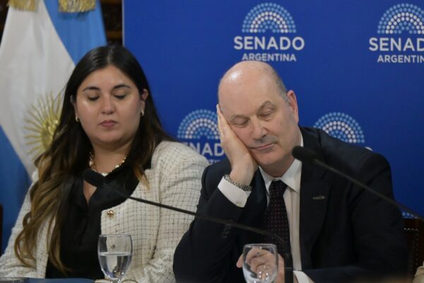 El Senado volverá a intentar aprobar el proyecto de propiedad privada