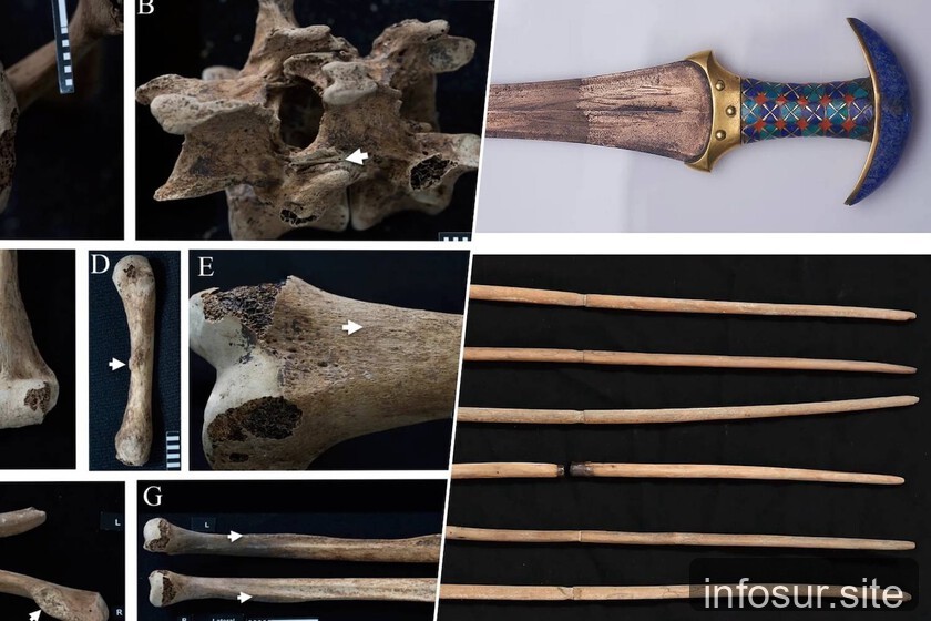 Huesos de reinas del Antiguo Egipto revelan que usaban armas en vida