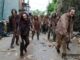 Netflix paga 500 millones por los derechos de 'The Walking Dead'