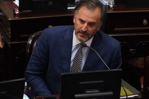 Polémica en el Senado: Benegas Lynch tiene empresa que vende tierras a extranjeros