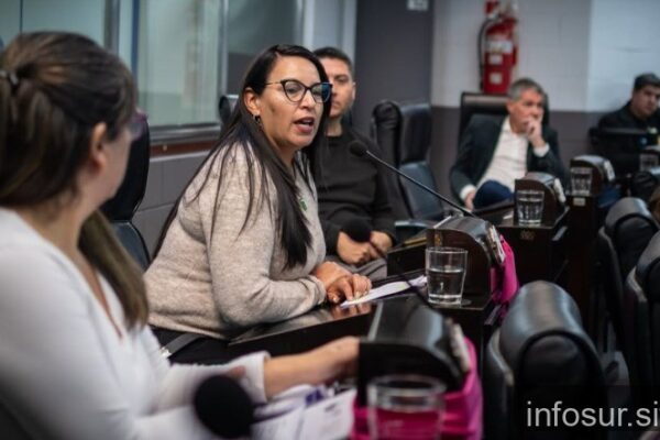 Alivio fiscal en Quilmes: el Concejo Deliberante aprobó una moratoria para comercios e industrias