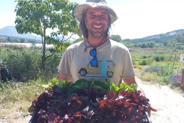 Agricultor rechazó 700.000 euros por su huerto de una hectárea en Madrid: 'Quiero dejar un legado'