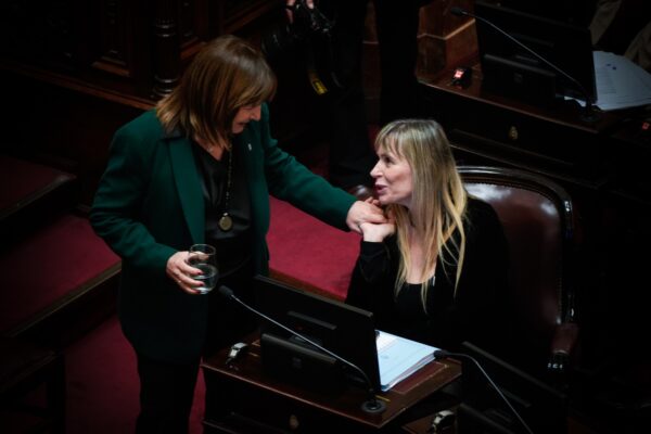 Internas y estrategias fallidas impulsaron la crisis en el Senado de La Libertad Avanza