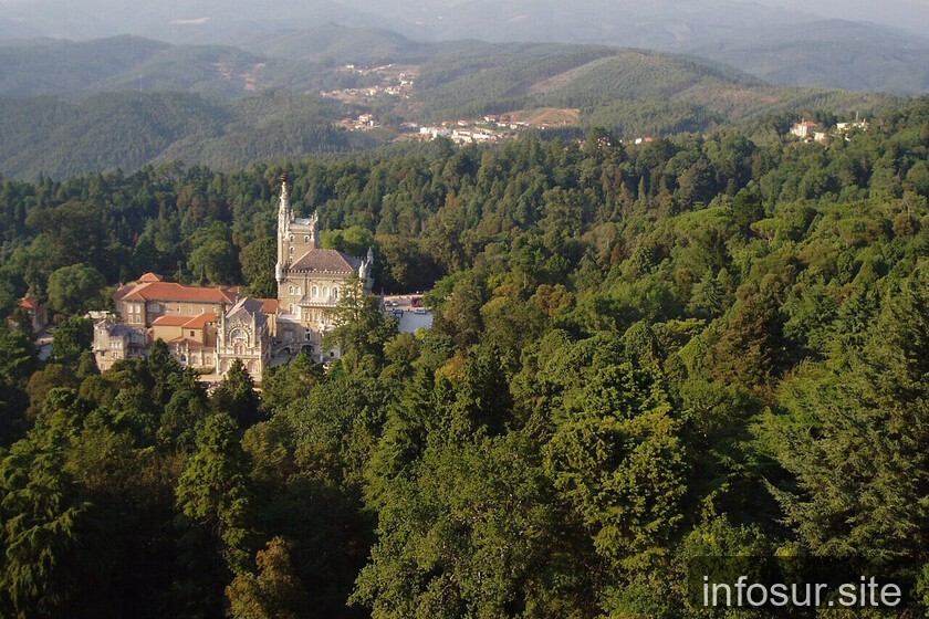 Bussaco se convierte en el primer bosque terapéutico de la península ibérica