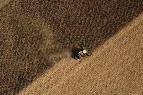 La suba de precios traccionó la venta de los productores: la comercialización de granos creció un 40% esta semana