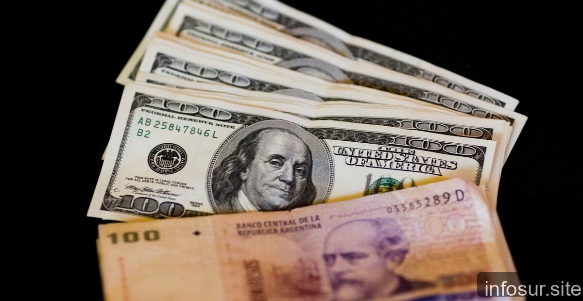 Dólar hoy: las cotizaciones oficiales y alternativas del miércoles 5 de agosto