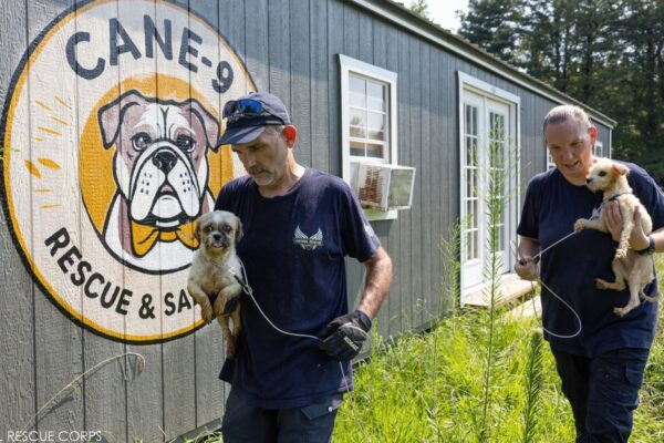 Horror en un refugio de animales de EE.UU.: rescatan a 37 perros y otros animales en condiciones insalubres
