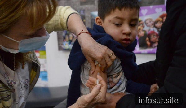 Médicos bonaerenses alertan sobre retroceso en vacunación infantil y adulta