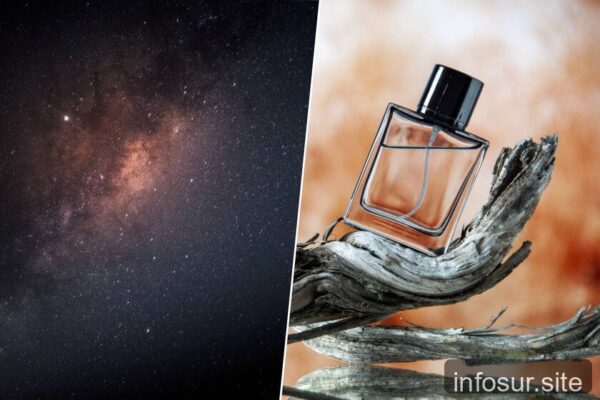 Marina Barcenilla: la astrobióloga que perfuma el universo
