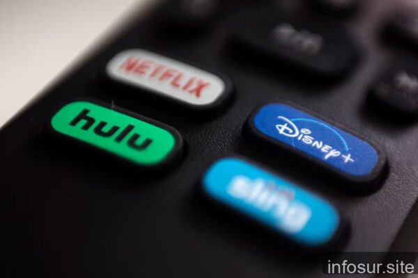 Prohíben a un hombre suscribirse a plataformas de streaming por una deuda alimentaria de casi $4 millones