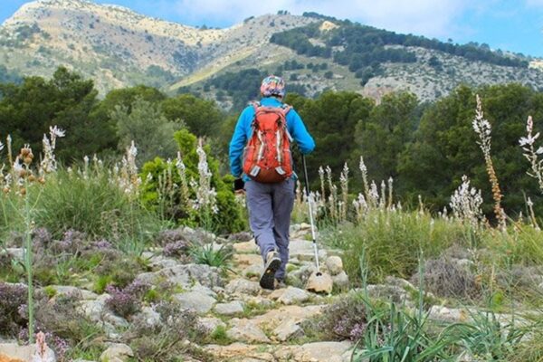Un ingeniero español reforestó 5.000 hectáreas usando cañones en 1889